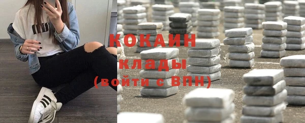 тгк Медногорск